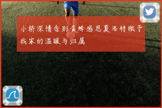 小桥深情告别黄蜂感恩夏洛特赋予我家的温暖与归属